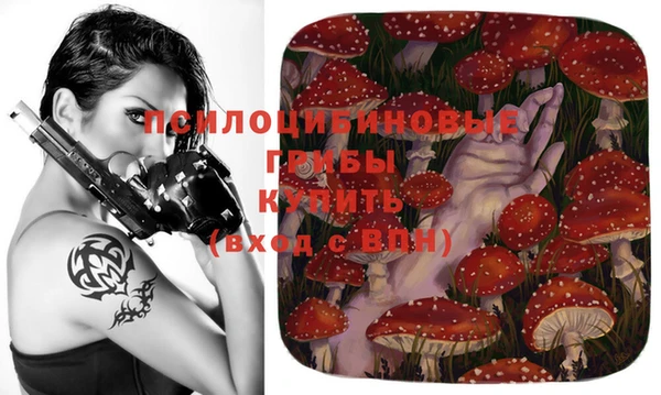 кокаин перу Богданович